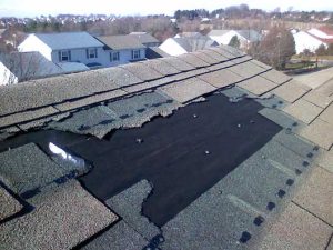 Shingle Blow Off